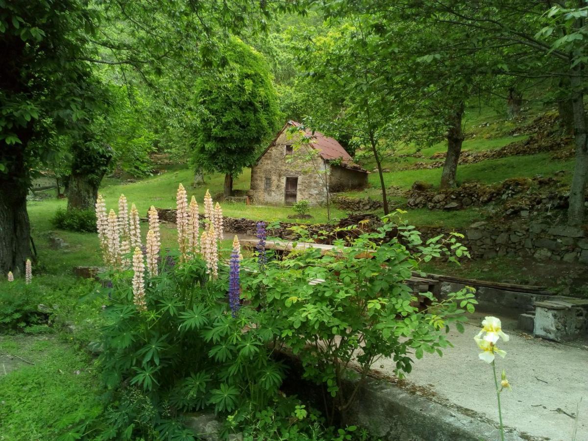Casa Vacanze Le Muse Sillico Pieve Fosciana Exterior foto